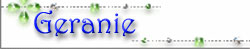 Geranie