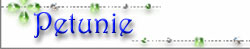 Petunie