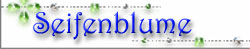 Seifenblume