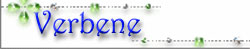 Verbene