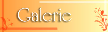 galerie